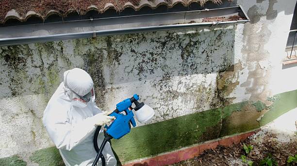 Top rated local Bathroom Mold Removal specialists in Cambridge, MD